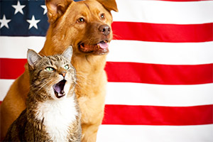 cat-and-dog-pledge